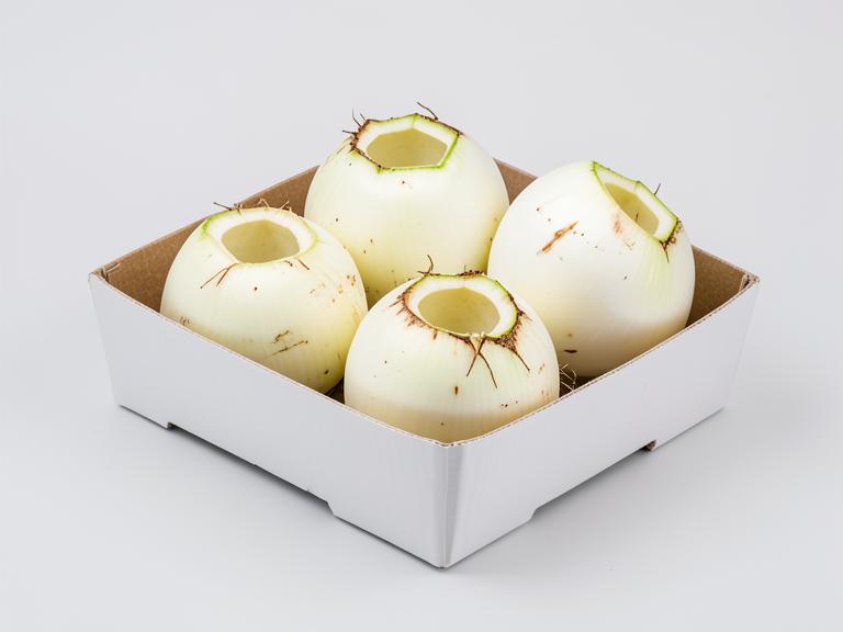 young coconut carton